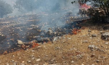 Nizip'te orman yangını 