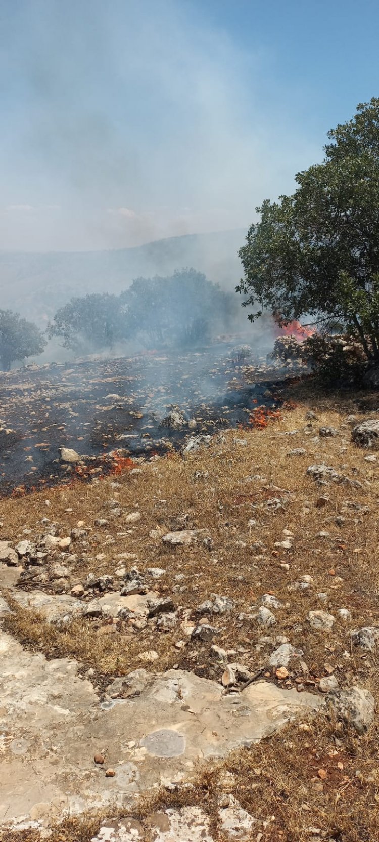 Nizip'te orman yangını 