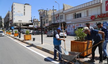 Nizip Belediyesi'nin ağaçlandırma çalışmaları sürüyor.