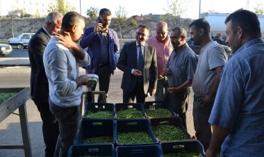 Kaymakam Çağlar, Zeytin Satan Esnafı Ziyaret Etti