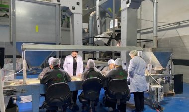 Zerovasa Group'tan bir hizmet daha