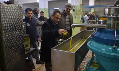 Kaymakam Çağlar Zeytinyağı Fabrikalarını Gezdi