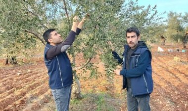 Tarım ve Orman Müdürlüğünden Çiftlere Ziyaret