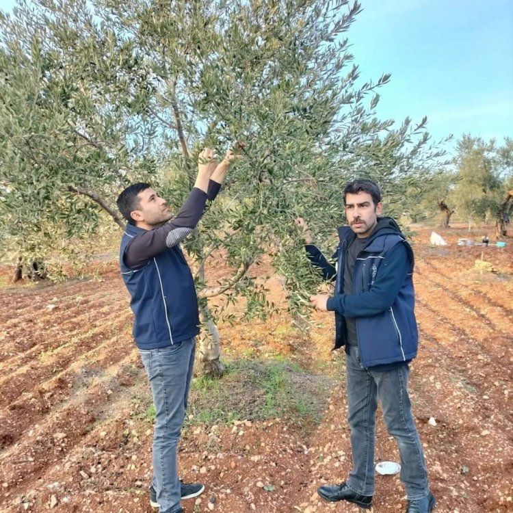 Tarım ve Orman Müdürlüğünden Çiftlere Ziyaret