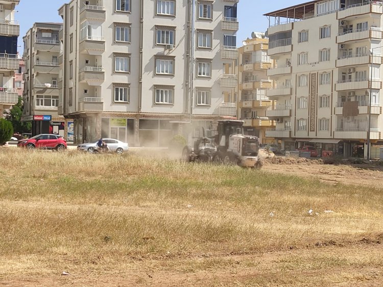 Nizip Belediyesi yabani ot temizliği başlattı 