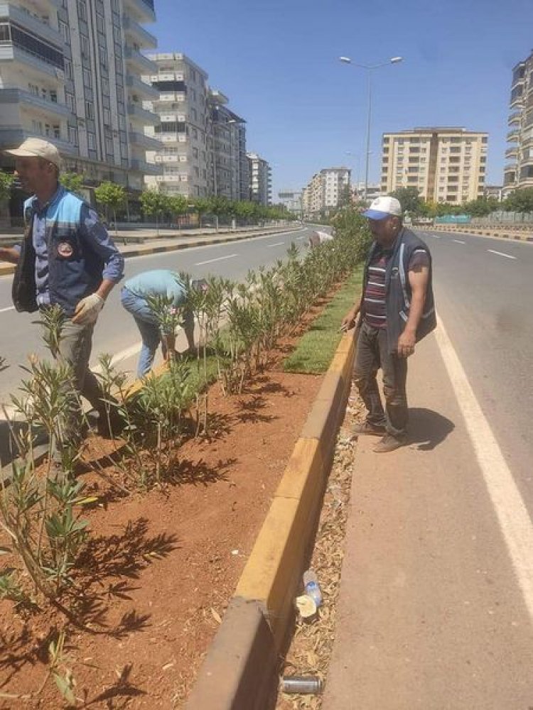 Nizip Belediyesi Park ve Bahçeler Müdürlüğüne bağlı ekipler, yeşil alanlarda bakım ve onarım çalışması gerçekleştiriyor.