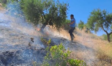 Nizip'te arazi yangını