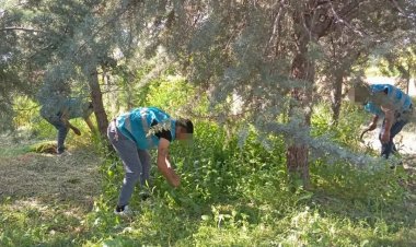 Nizip'te yükümlüler mezarları temizledi