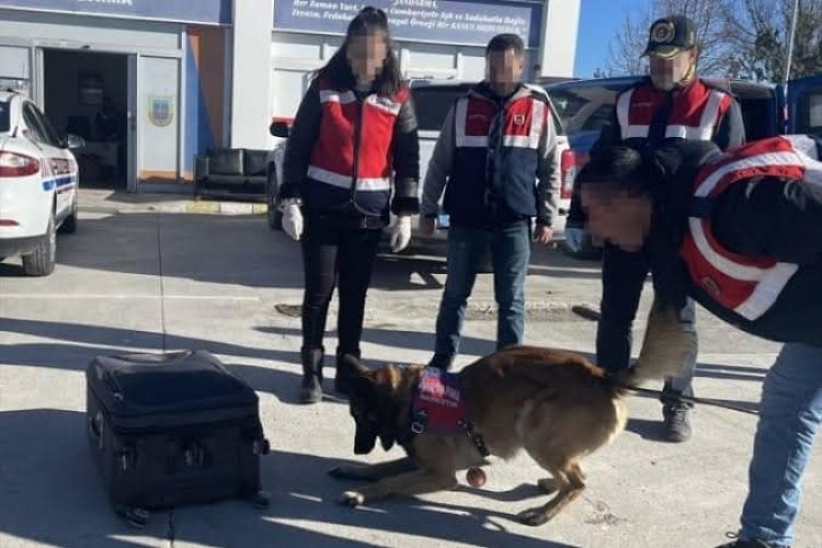 Uyuşturucu Sevkiyatına Jandarma Engeli