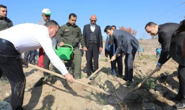 11 Kasım Milli Ağaçlandırma Günü: Nizip'te Geleceğe Nefes Oldu