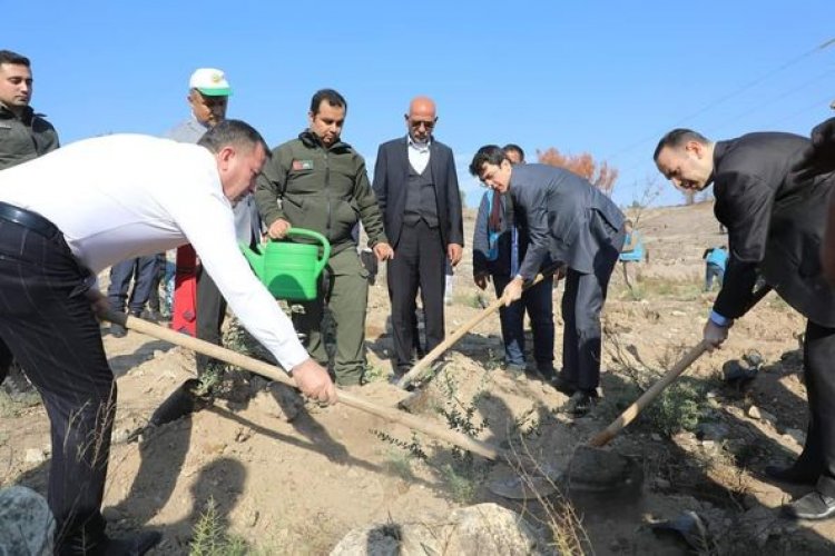 11 Kasım Milli Ağaçlandırma Günü: Nizip'te Geleceğe Nefes Oldu