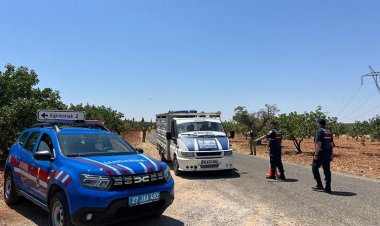 Jandarma Ekiplerinden Antep Fıstığına Nöbet: Hırsızlara Geçit Yok!