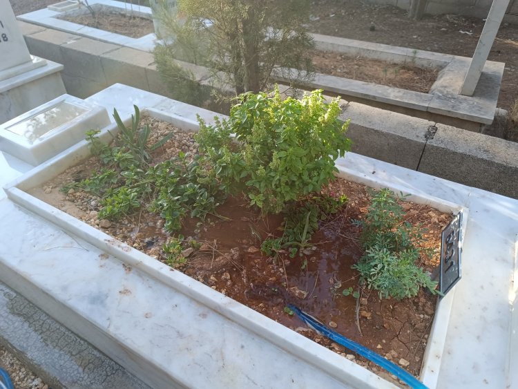 Nizip Asri Mezarlıkta Tepki Çeken Olay: Mezar Çiçekleri Çalınıyor!
