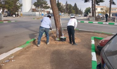 Nizip Sanayi Sitesi’nde Yeşil-Beyaz Dönüşüm: Kaldırım Refüjleri Yenileniyor