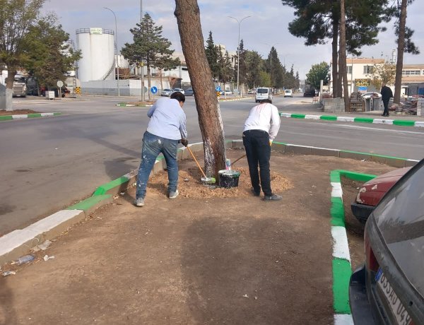 Nizip Sanayi Sitesi’nde Yeşil-Beyaz Dönüşüm: Kaldırım Refüjleri Yenileniyor