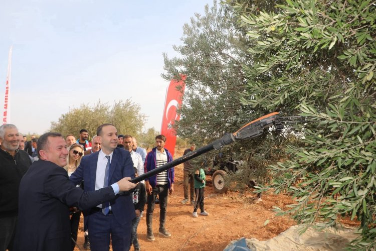 Zeytinin Başkenti Nizip’te 2. Zeytin Festivali Coşkusu