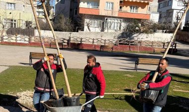 Nizip'te ekipler daha yeşil bir ilçe için sahada