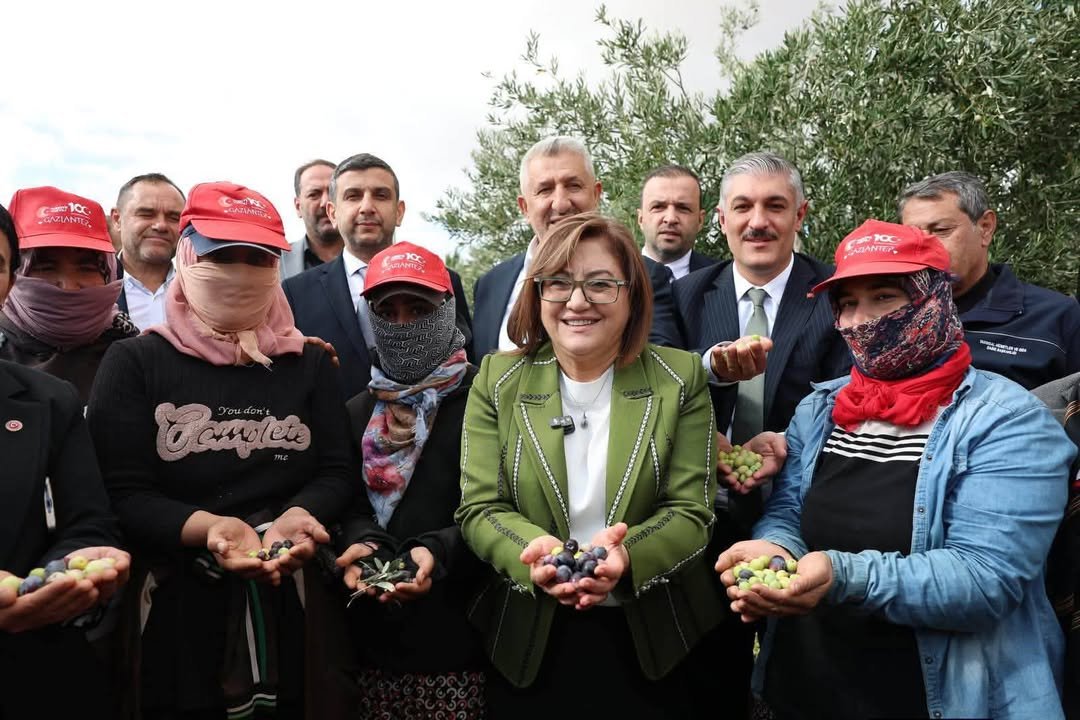 NİZİP ZEYTİN FESTİVALİ’NDE PROTOKOL ÜYELERİ ÇİFTÇİLERLE BİRLİKTE ZEYTİN HASADI YAPTI