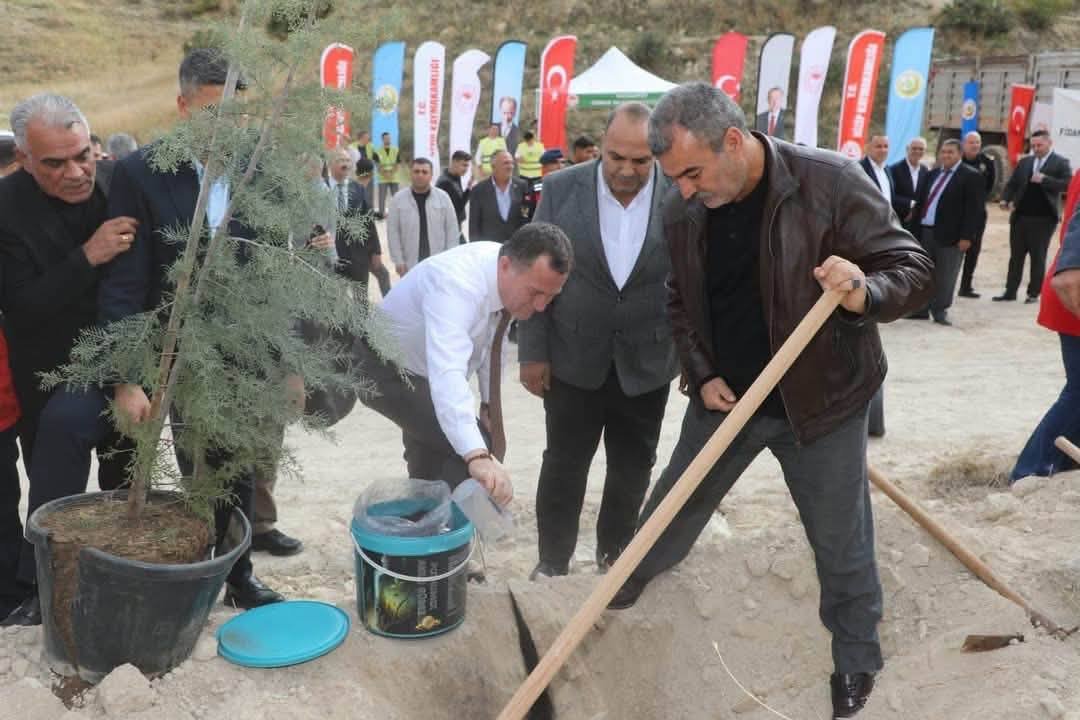 NİZİP ZEYTİN FESTİVALİ SAMANLI MAHALLESİ’NDE FİDAN DİKİMİYLE BAŞLADI
