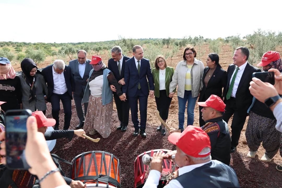 NİZİP ZEYTİN FESTİVALİ’NDE PROTOKOL ÜYELERİ ÇİFTÇİLERLE BİRLİKTE ZEYTİN HASADI YAPTI