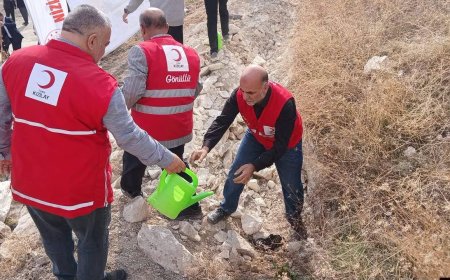 NİZİP KIZILAY ŞUBESİ’NDEN AĞAÇ DİKME KAMPANYASINA ANLAMLI DESTEK