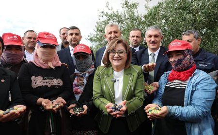 NİZİP ZEYTİN FESTİVALİ’NDE PROTOKOL ÜYELERİ ÇİFTÇİLERLE BİRLİKTE ZEYTİN HASADI YAPTI