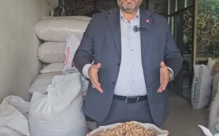 FARUK AKBAŞ’TAN FISTIK ÜRETİCİLERİNİN SORUNLARINA DİKKAT ÇEKEN AÇIKLAMA: “ÜRETİCİMİZ İÇİNDEN ÇIKILAMAZ BİR DURUMDA!”