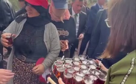 FATMA ŞAHİN’DEN ZEYTİN HASADI YAPAN ÇALIŞANLARA ÇAY İKRAMI