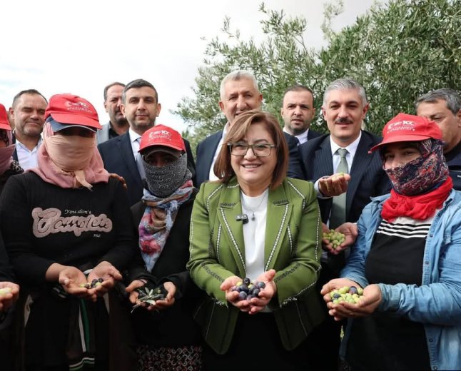 NİZİP ZEYTİN FESTİVALİ’NDE PROTOKOL ÜYELERİ ÇİFTÇİLERLE BİRLİKTE ZEYTİN HASADI YAPTI