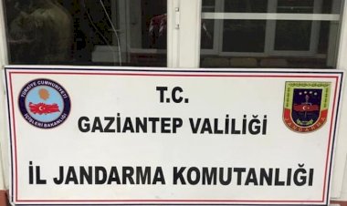 Uyuşturucu Operasyonu ; 1 Gözaltı