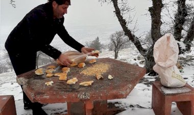 Doğadaki Canlılar Unutulmadı