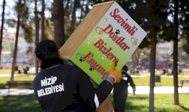 Nizip Belediyesi seçim sandıklarından kedi evi yaptı