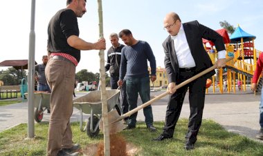 Belediye Başkanı Sarı Ağaç dikti