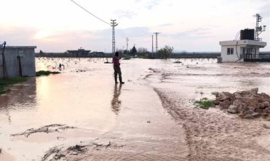 Nizip ve Karkamış’ta sel tarımı etkiledi