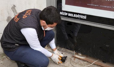 Durağa sıkışan kediyi belediye ekipleri kurtardı
