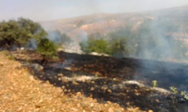 Nizip’te Ormanlık Alanda Yangın