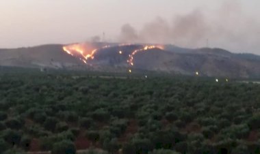 Zergil Dağı'ndaki orman yangını söndürüldü