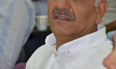 ‘Yeşil altın’ı tarım kredi alacak