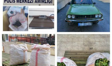 Nizip’te Fıstık hırsızlığı şüphelileri yakalandı