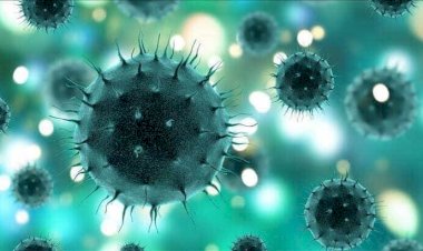 NİZİP’TE 150 HANEDE KARANTİNA SAYISI 593 KİŞİYE YÜKSELDİ