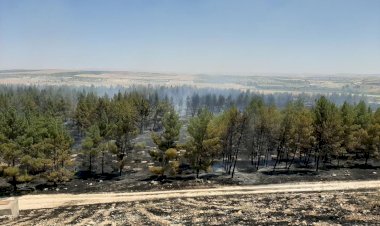 Nizip’te aynı günde iki orman yangını