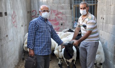 Nizip'te kurbanlık satışları başladı