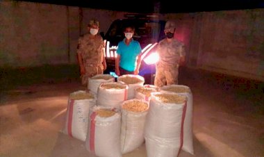 Fıstık Hırsızlığı Şüphelisi Kaçamadı