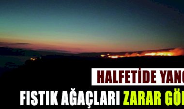 Halfeti ilçesinde ot yangını fıstık ağaçlarına zarar verdi 