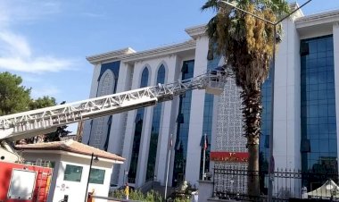 Yuvasından düşen kuşu itfaiye kurtardı  