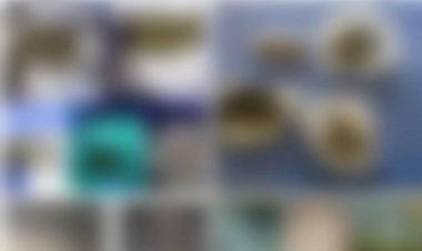 Nizip'te 8 kişide uyuşturucu madde 7 çalıntı motosiklet ele geçirildi