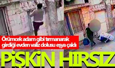 Örümcek adam gibi tırmanarak girdiği evden valiz dolusu eşya çaldı