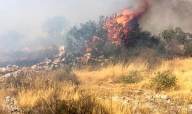 Ormanlık alanda başlayan yangın fıstık tarlasına sıçradı
