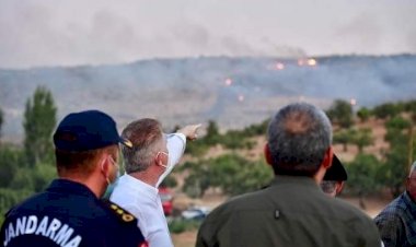 Vali Gül, yangın bölgesinde inceleme yaptı 