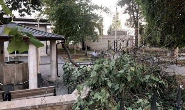 Pavlonya ağacı cami avlusunda şadırvanın üzerine devrildi